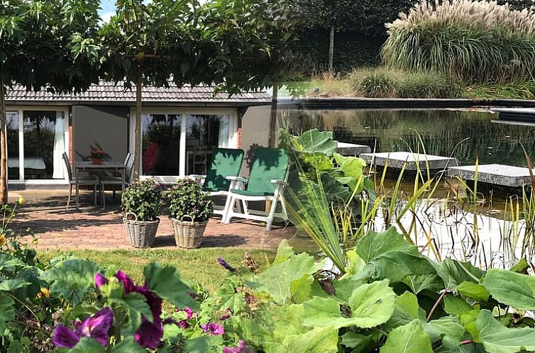 Geniet van de serene tuin bij Huisje in Baarle-Nassau, vakantiehuis in Noord Brabant, met prachtig uitzicht op de natuur.