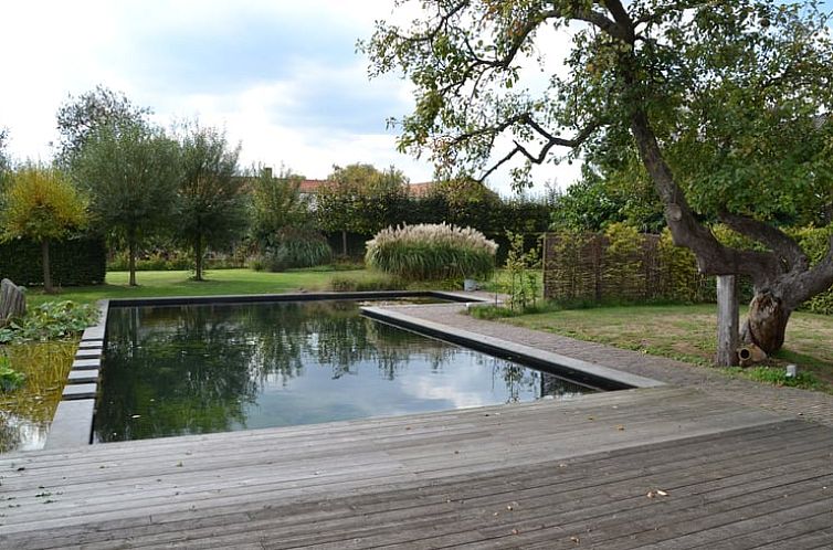 Huisje in Baarle-Nassau