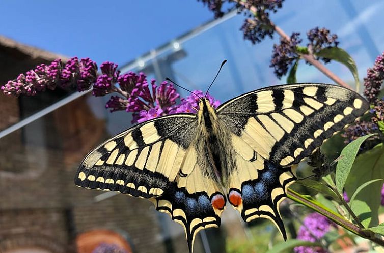 Vakantiehuis in Baarle-Nassau
