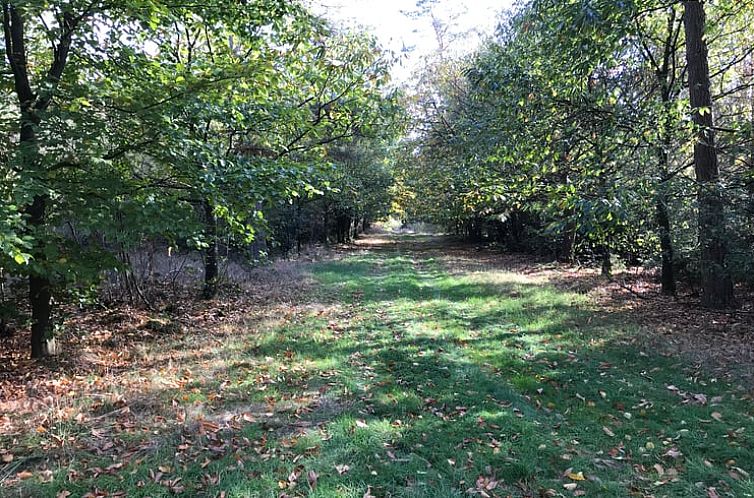 Vakantiehuisje in Baarle-Nassau