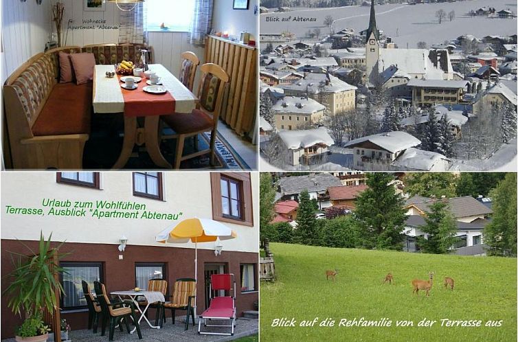 Apartment Dreier - Salzburger Land