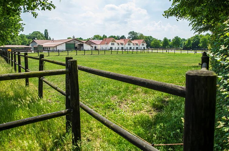 Huisje in Hooge Mierde