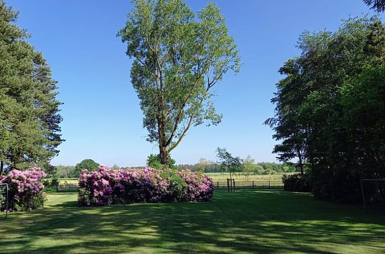 Vakantiehuisje in Luyksgestel