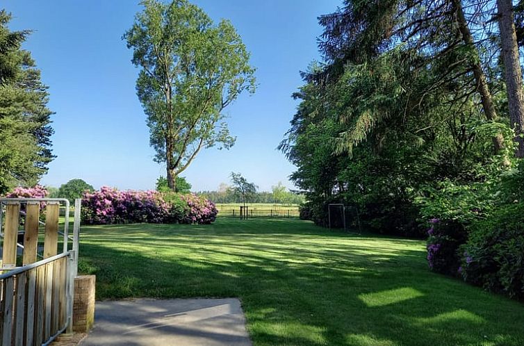 Vakantiehuisje in Luyksgestel