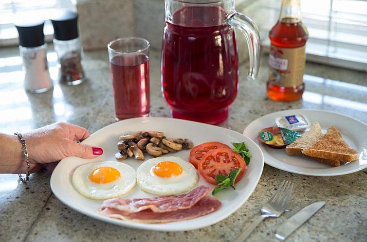 Rustic Manor Guest House