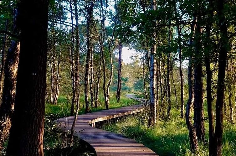 Vakantiehuis in Hapert