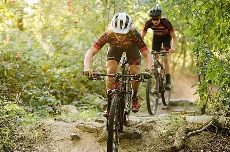 Vakantiehuis in Hapert