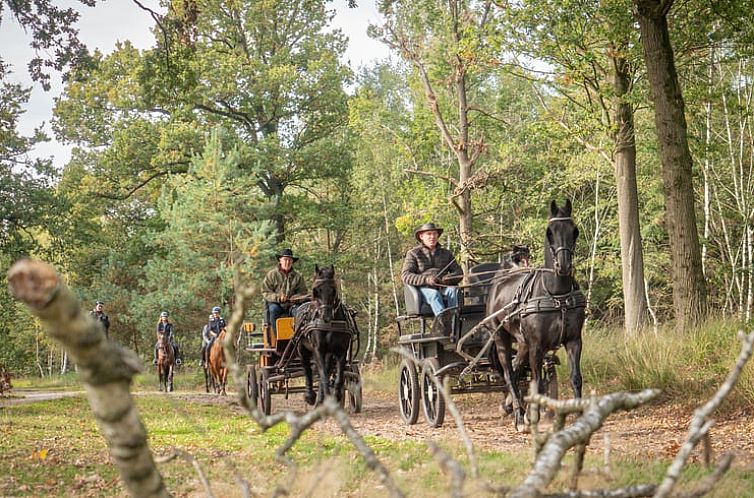 Vakantiehuis in Hapert