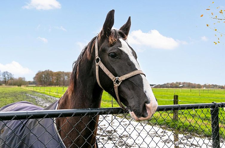De Hoeve II
