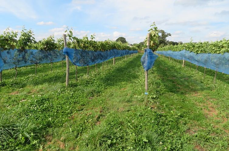 Vakantiehuisje in Biest-Houtakker