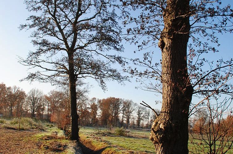 Vakantiehuisje in Biest-Houtakker