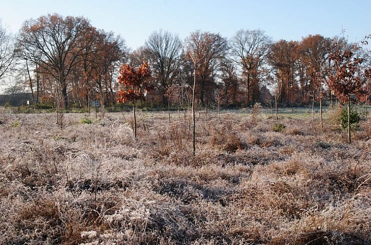 Vakantiehuisje in Biest-Houtakker