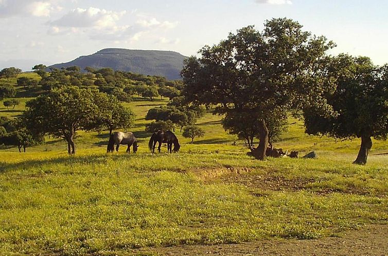 El Añadío