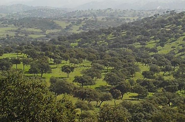 El Añadío