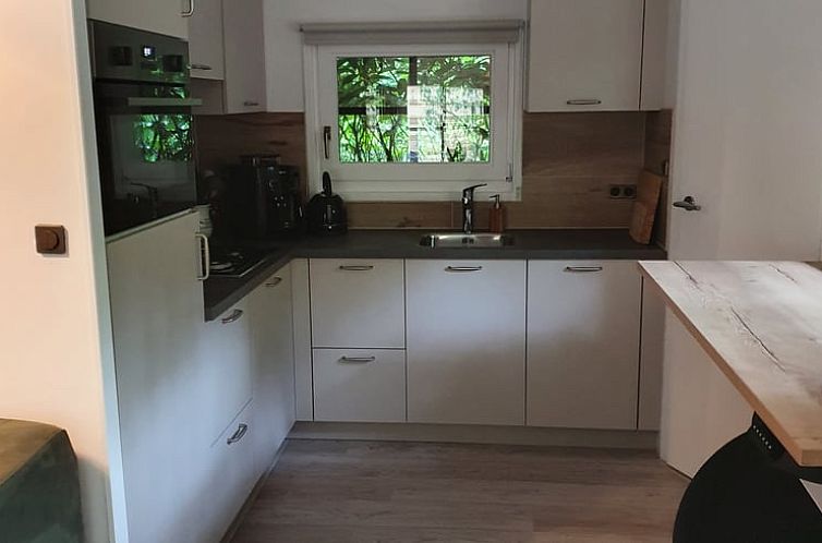 Vakantiehuisje in Oisterwijk