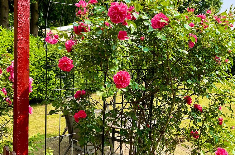 Vakantiehuis in Haaren