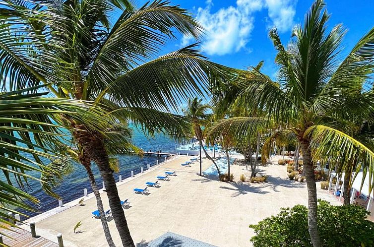 Pines & Palms Resort