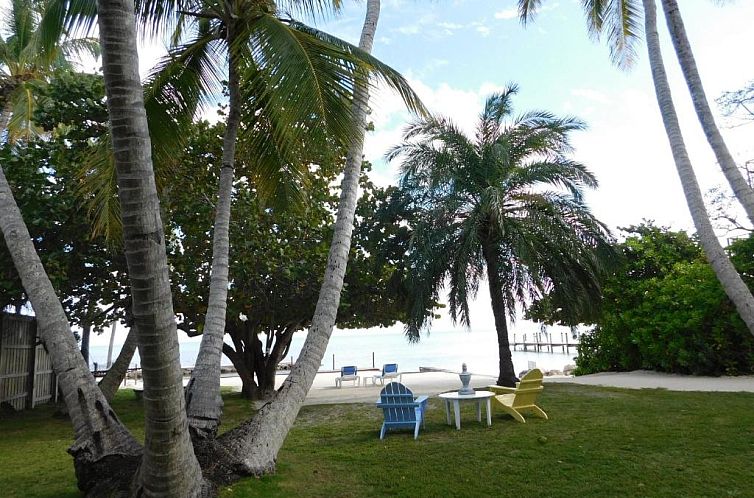 Pines & Palms Resort