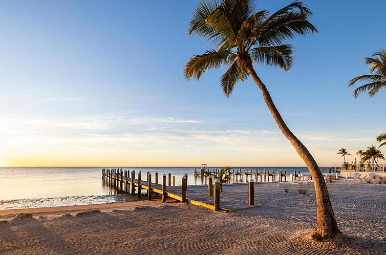 Pines & Palms Resort