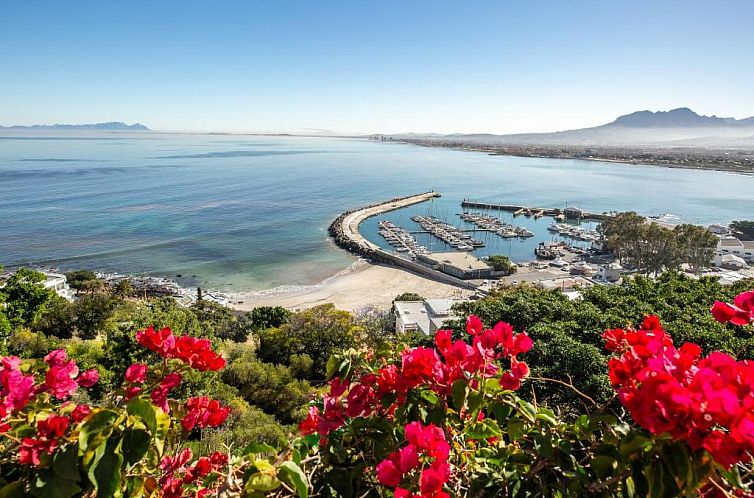 Celtic Manor Boutique Guest House