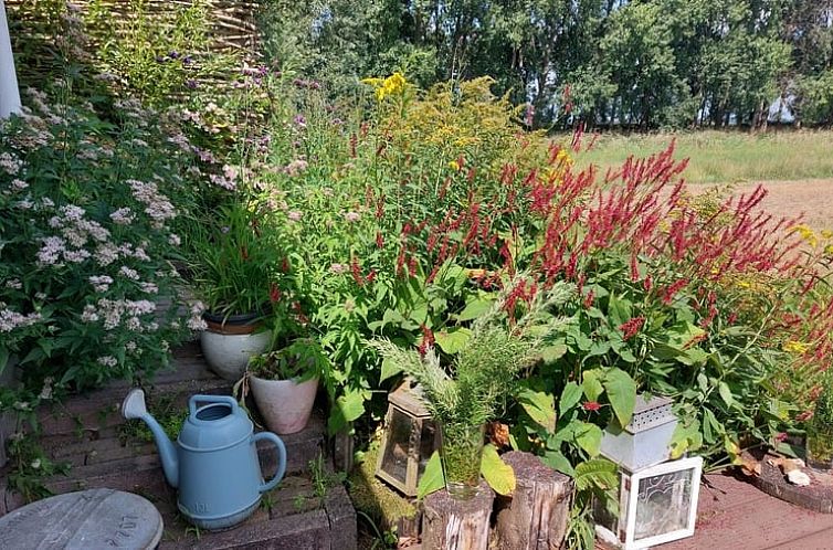 Vakantiehuisje in Hank