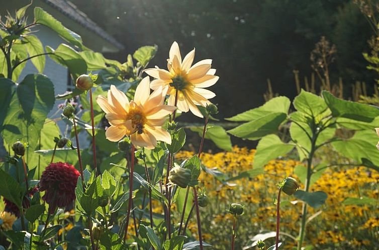 Vakantiehuisje in Loon op Zand