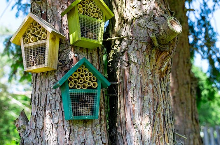 Huisje in Loon op Zand