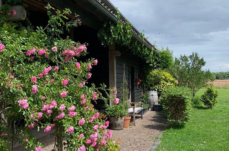 Vakantiehuisje in Boxtel met terras, gelegen in Lennisheuvel, Hart van Brabant, Noord Brabant, omgeven door weelderige natuur.