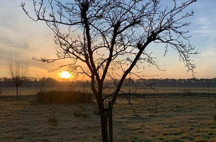 Vakantiehuisje in Boxtel