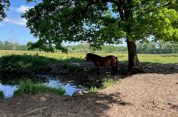 Vakantiehuisje in Mill