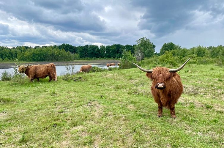 Vakantiehuisje in Mill