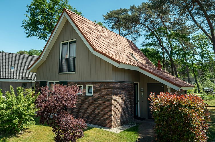 De Vers | 6-persoons bungalow | 6L