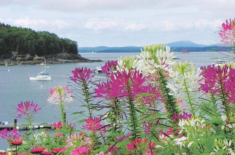 Bar Harbor Inn and Spa