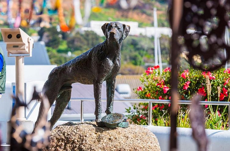 aha Simon's Town Quayside Hotel