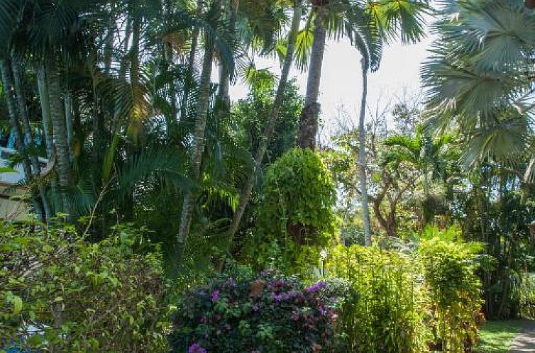 Ya Nui Resort - SHA Plus