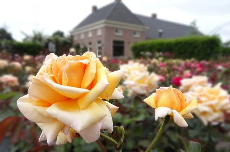 Vakantiehuisje in Haps