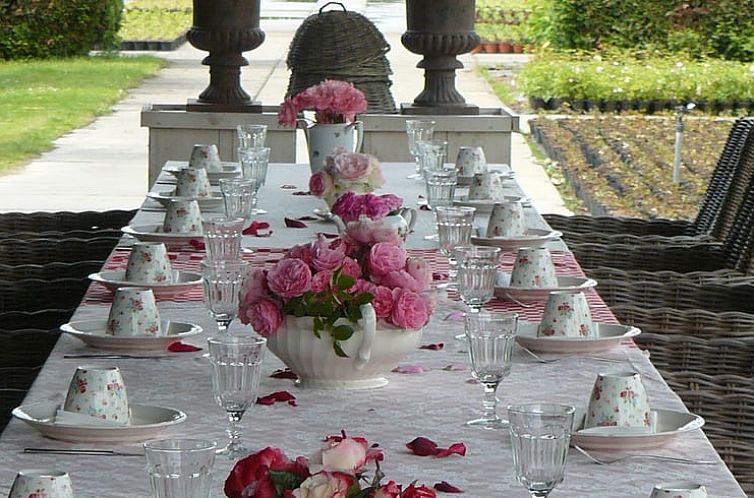 Vakantiehuisje in Haps