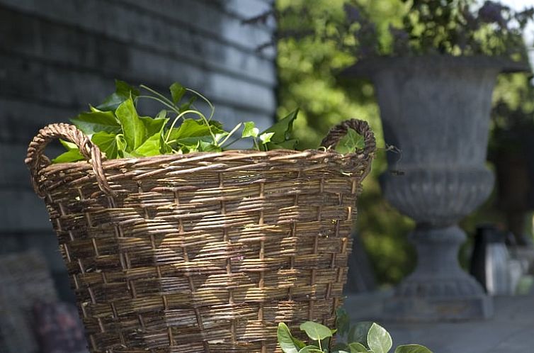 Vakantiehuisje in Haps