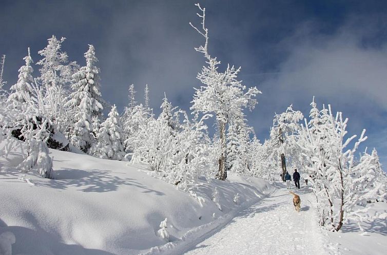 Haus Margarete & Landhaus Karin