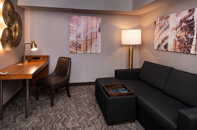 Unterkunft 4425220 - Appartement Oostkust - SpringHill Suites by Marriott Pittsburgh North Shore