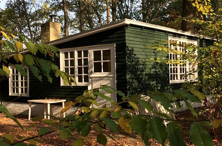 Huisje in Rijsbergen, vakantiehuis omgeven door herfstbladeren in het bos van West Brabant, Noord Brabant.
