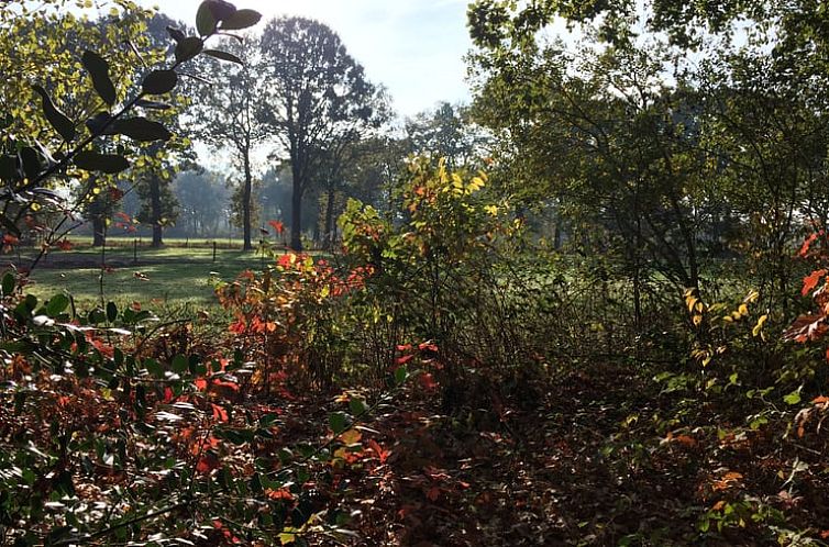 Huisje in Rijsbergen