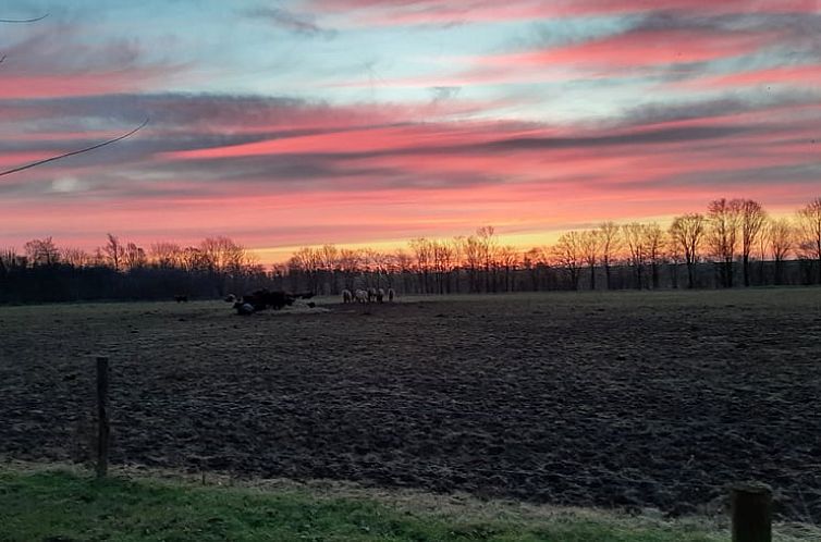 Vakantiehuis in Werkendam