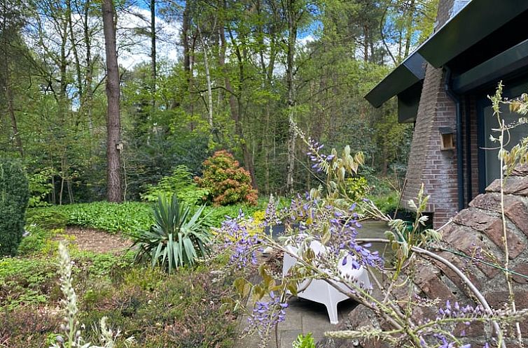 Vakantiehuis in Huijbergen
