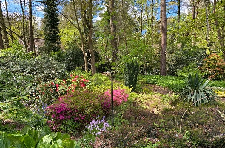 Vakantiehuis in Huijbergen