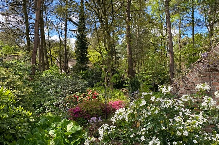 Vakantiehuis in Huijbergen