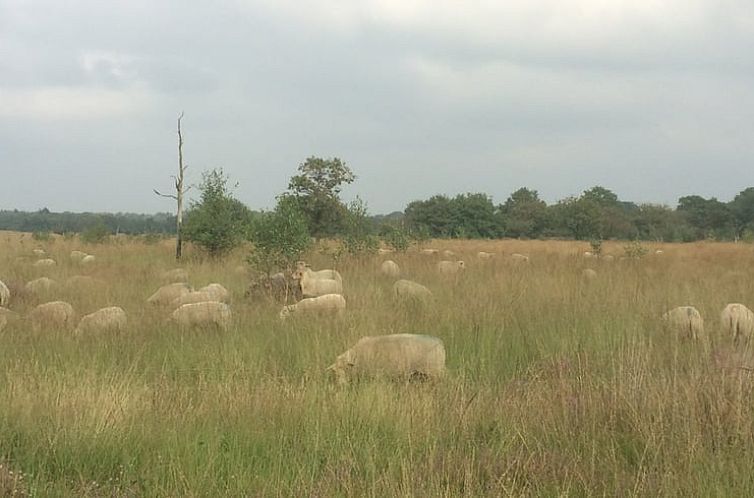 Vakantiehuis in Huijbergen