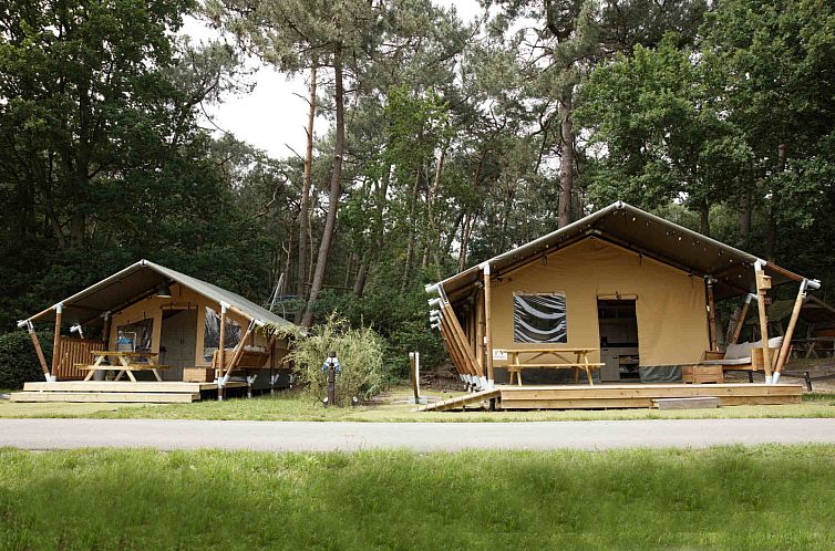 Verblijf 443604 - Tenthuis West Brabant - Safaritent