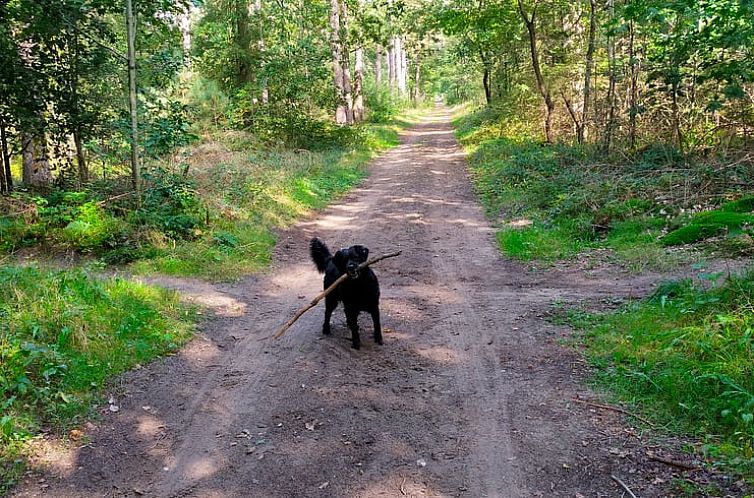 Vakantiehuis in Ulvenhout AC