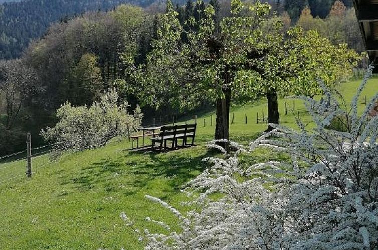 Hölbinger Alm - Apartments